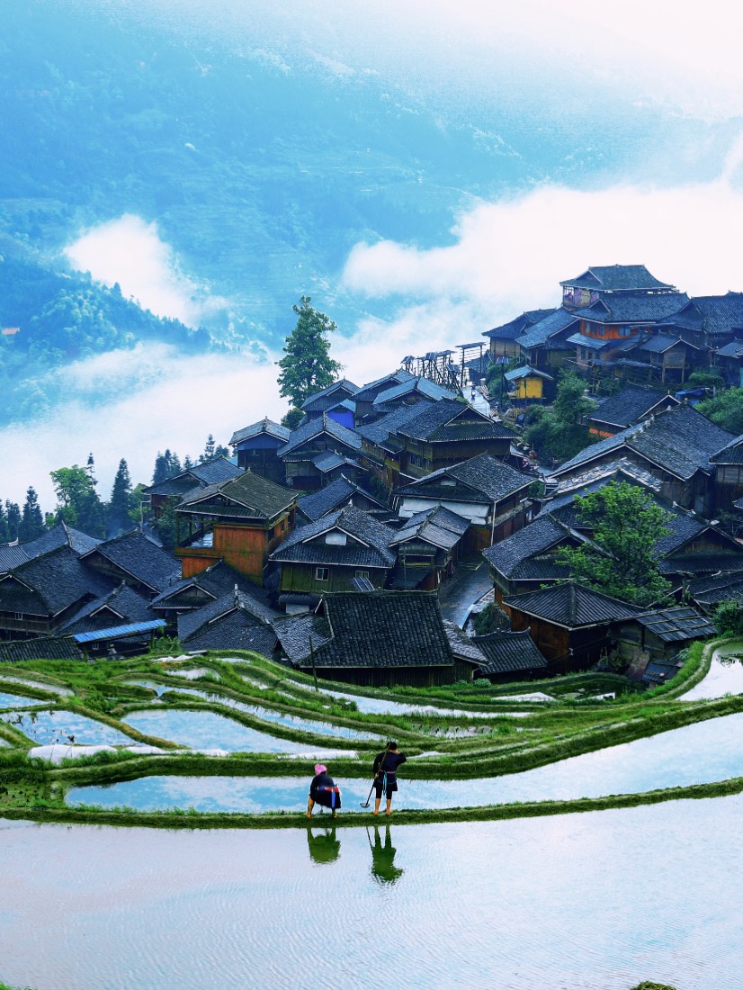 Misty terraced rice fields and a traditional Miao village in Guizhou