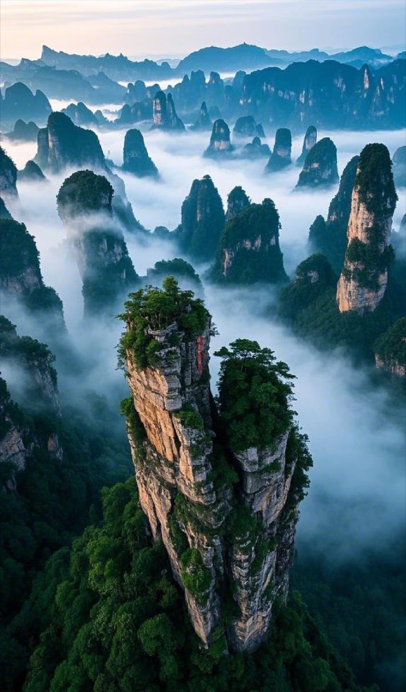 Mist drifting between the towering sandstone pillars of Zhangjiajie