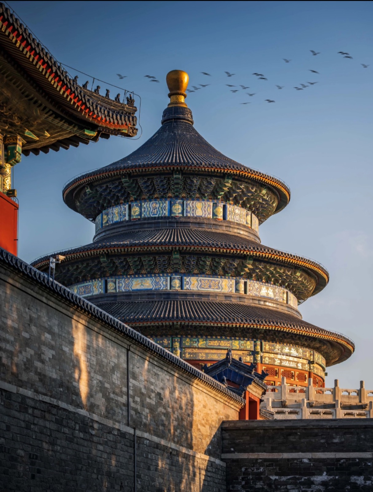 The Temple of Heaven at golden hour with birds wheeling overhead in Beijing