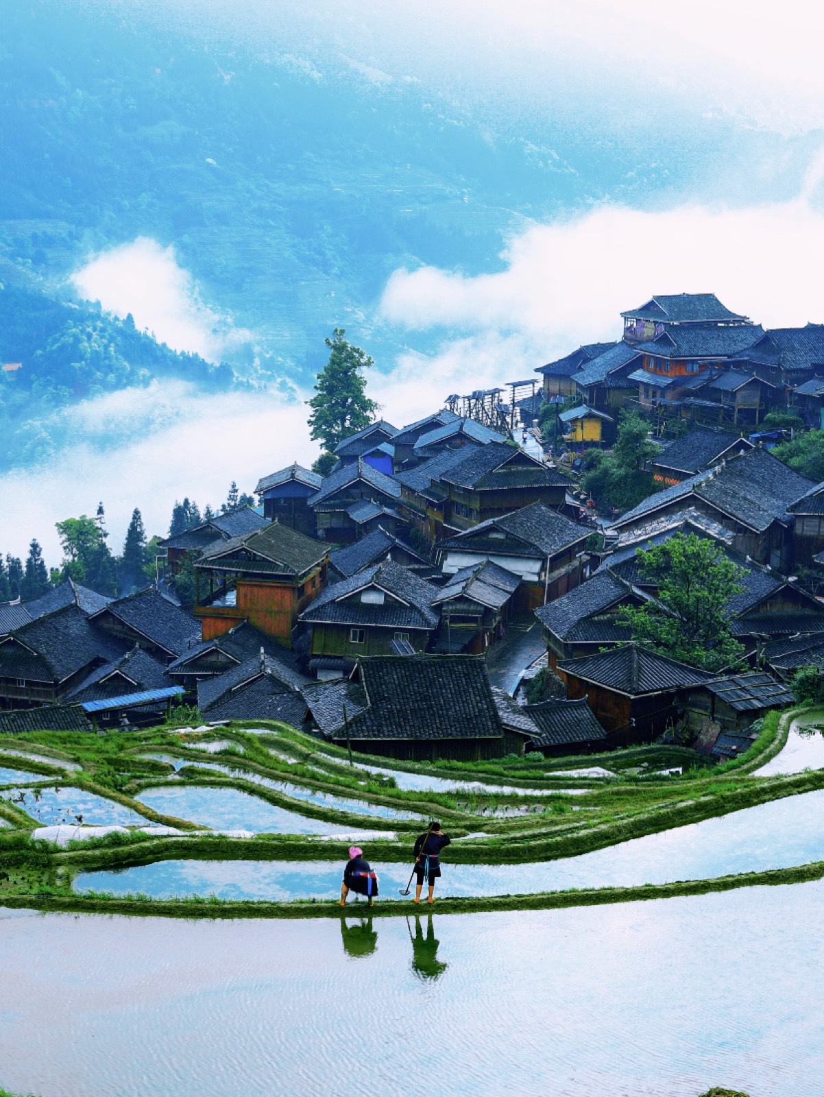 A misty Miao village clinging to terraced rice fields in the mountains of Guizhou