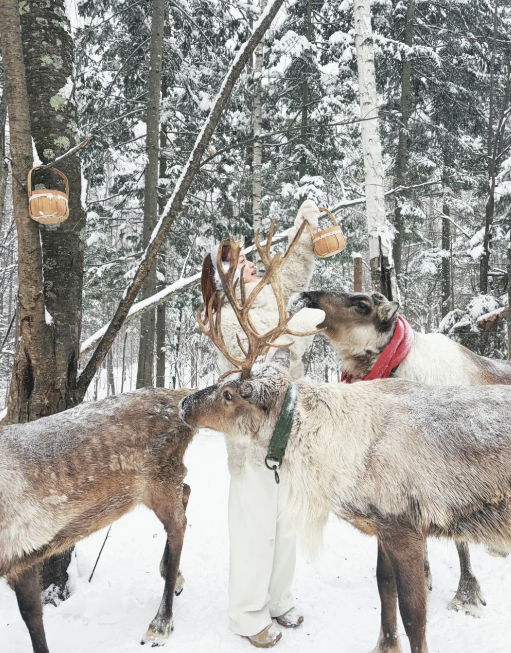 Children meeting friendly reindeer in the snow at the mountain resort