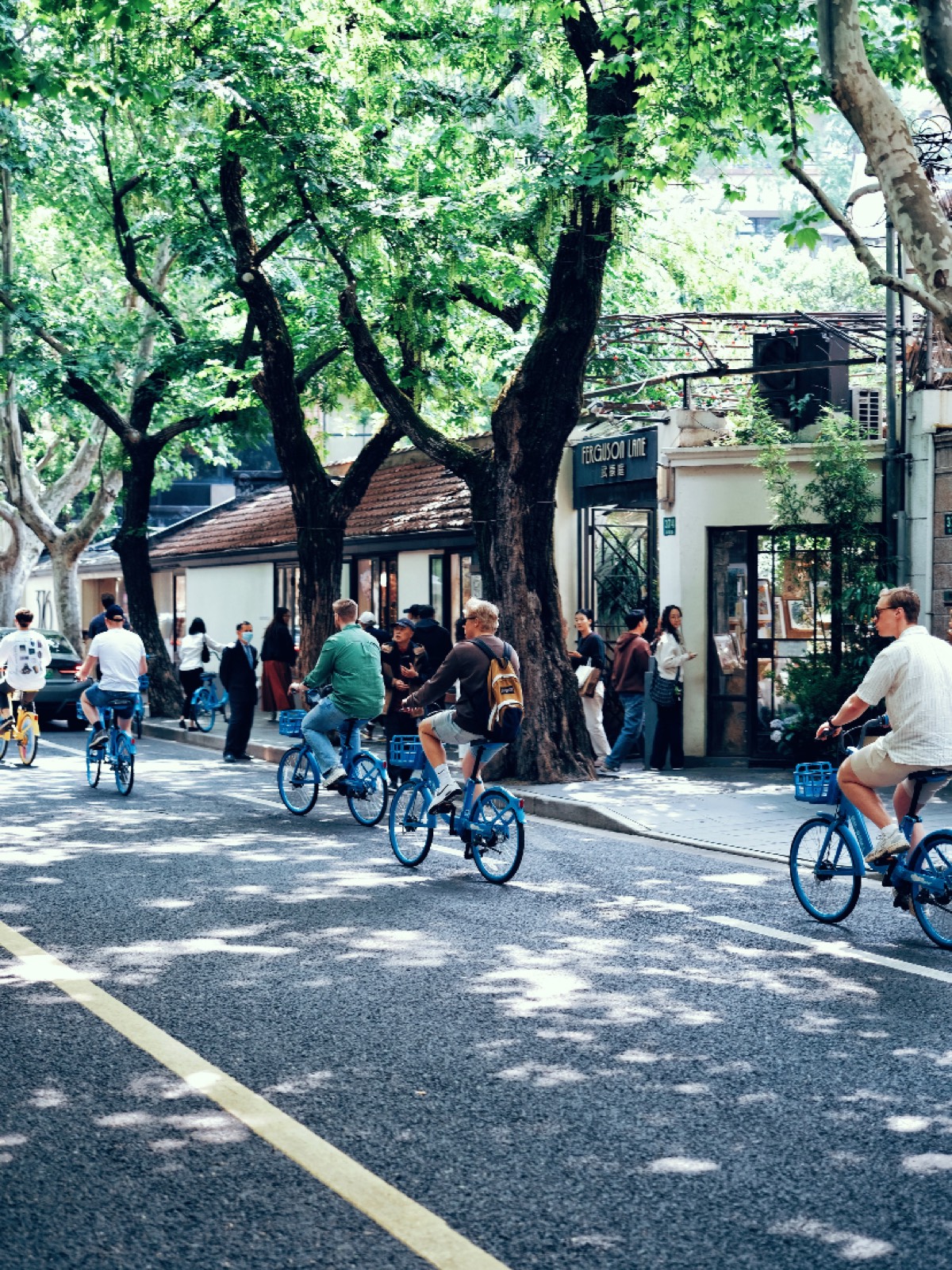 Cyclists on a leafy French Concession street