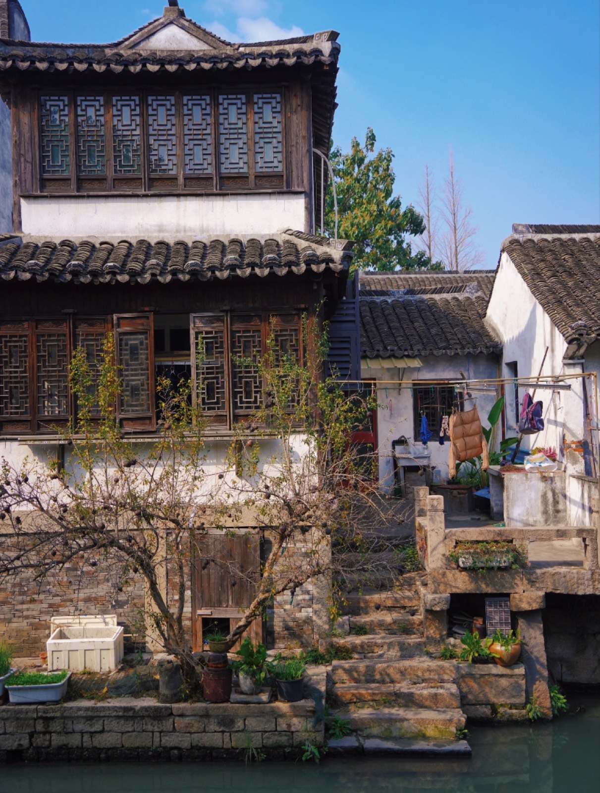 Old waterside houses and blossoms in Zhujiajiao water town