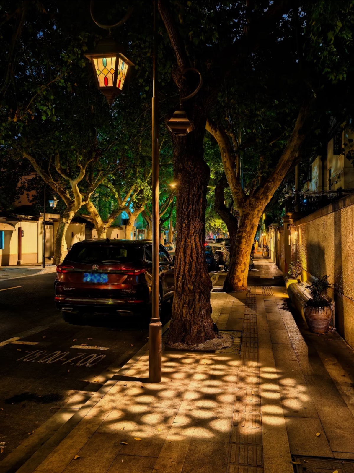 A plane-tree-lined French Concession street glowing under lamplight at night