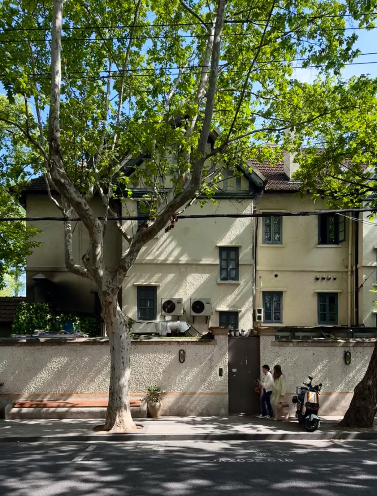 A leafy, plane-tree-lined villa street in Shanghai's former French Concession