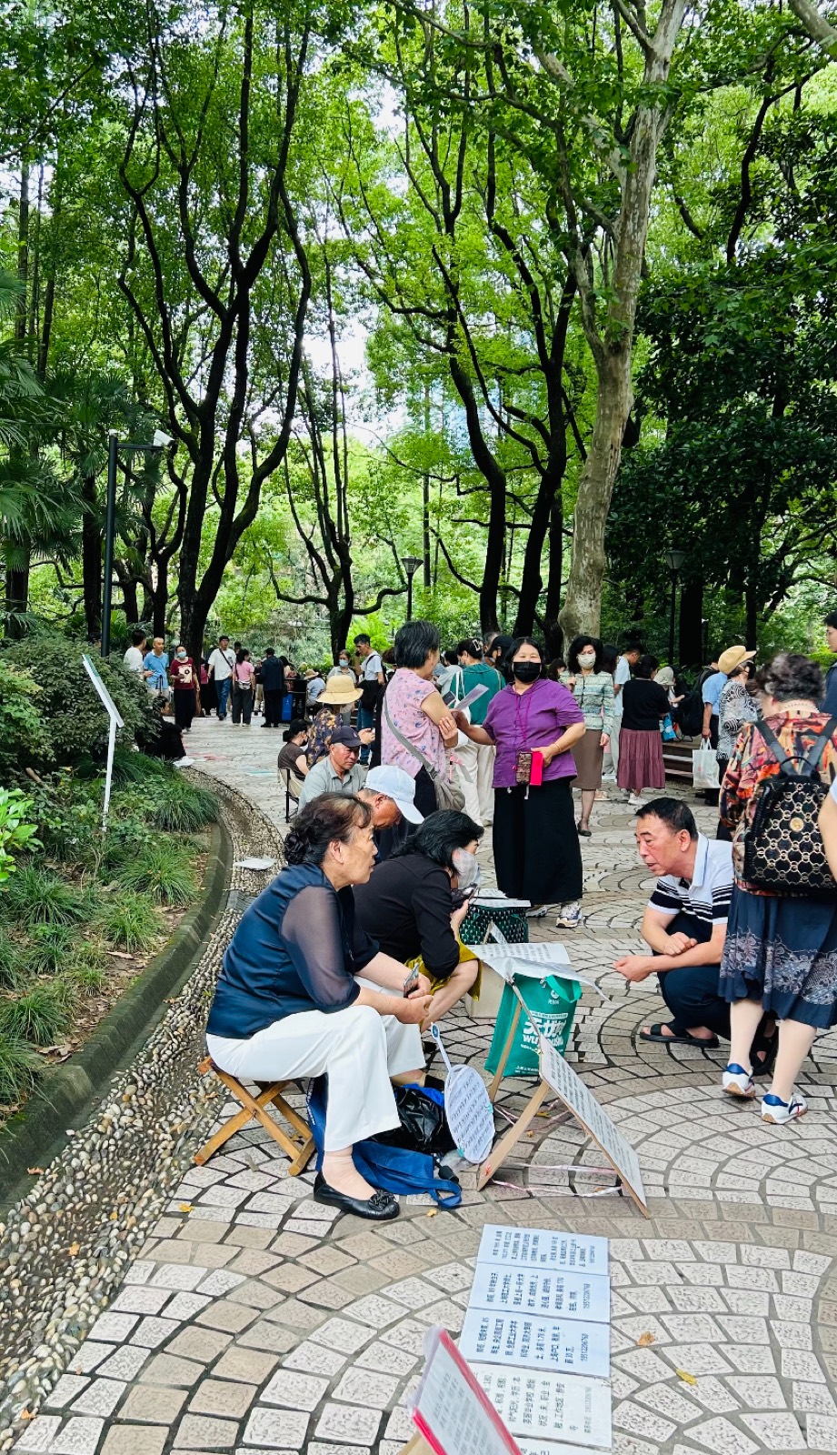 Elders at the weekend marriage market in a park at People's Square, Shanghai