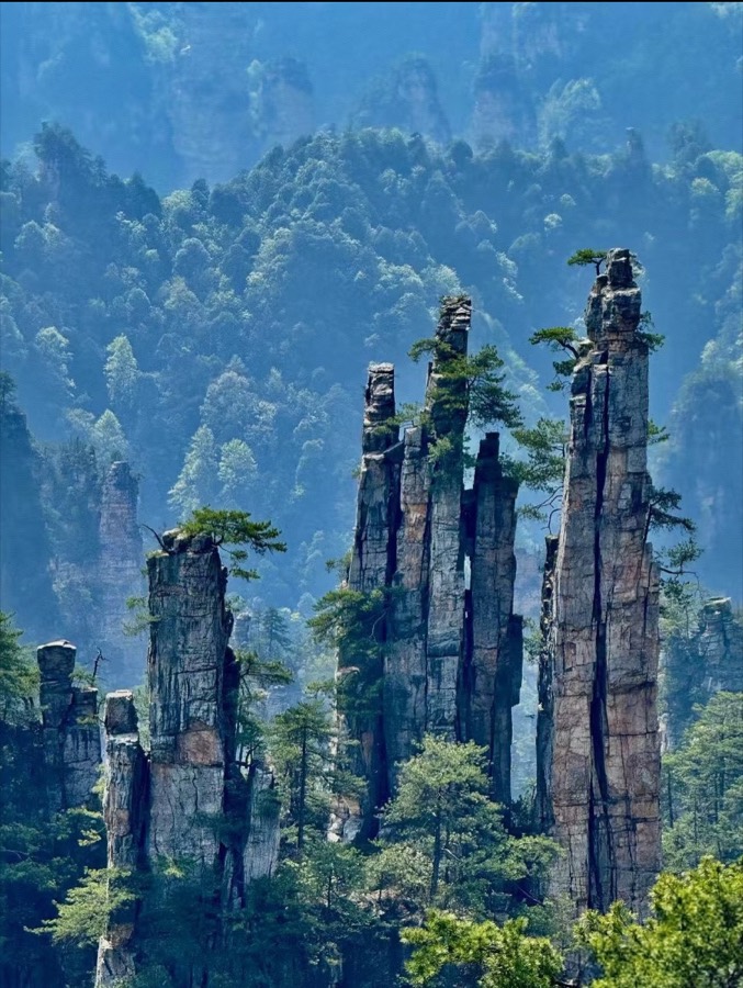 Dramatic sandstone pillars rising in Zhangjiajie